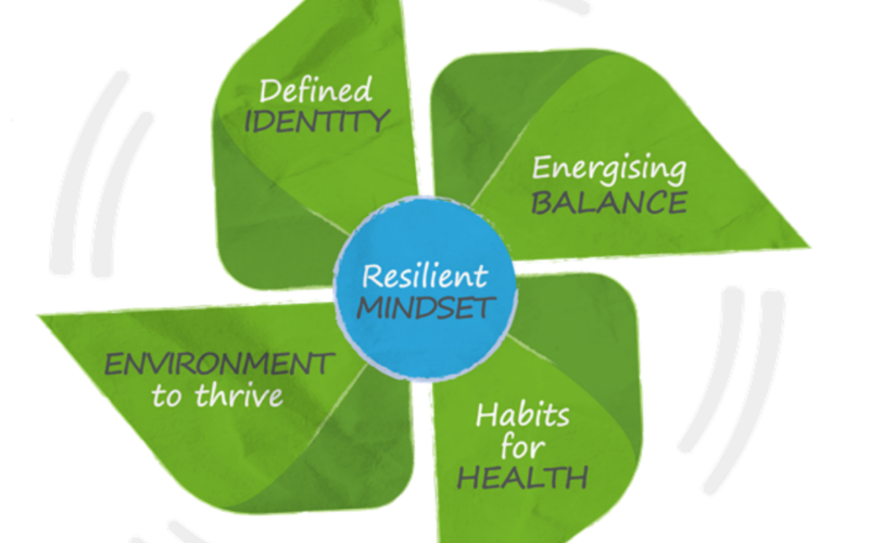 5 aspects for performance wellbeing